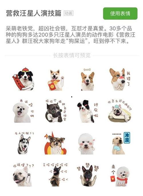 营救汪星人表情包,温情满满的表情包故事