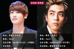 韩国娱乐圈迅雷,风云变幻，明星崛起与陨落记