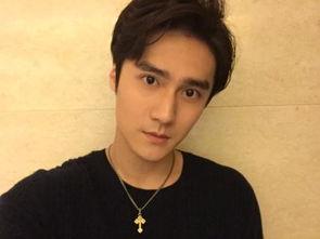 史帅资料,传奇将领的戎马生涯与辉煌战绩